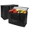 Insulated Food Delivery Bag (Pack of 2) - 16x13x9in, Zippered Top, Foldable