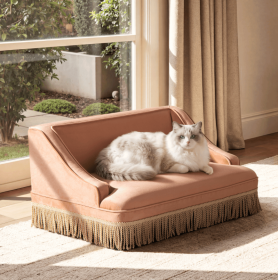 Duchess 33-inch medium-sized pet bed-sofa in peach-orange color (B2719P479029: B2719P479029)